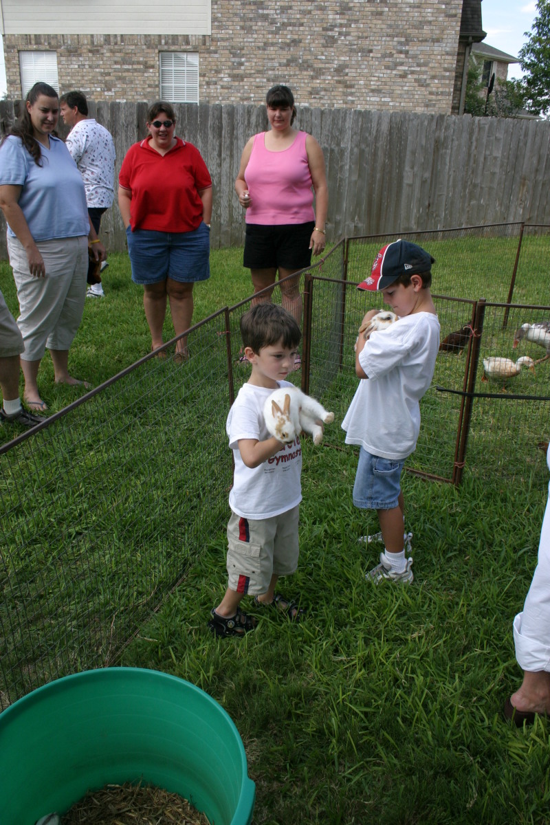 2005/08(August)/Case-Bday/800x600_2005-08-13-Case-Birthday-29-animals-Dax-bunny.JPG