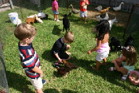 2005-08-13-Case-Birthday-03-animals-Chance.JPG