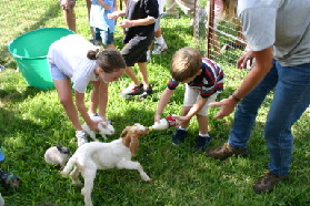 2005-08-13-Case-Birthday-04-animals-Chance.JPG