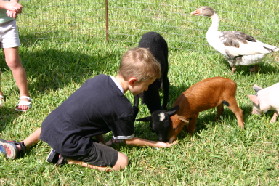 2005-08-13-Case-Birthday-07-animals-Chance.JPG