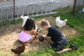 2005-08-13-Case-Birthday-12-animals-Chance.JPG