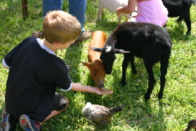 2005-08-13-Case-Birthday-13-animals-Chance.JPG