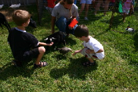 2005-08-13-Case-Birthday-15-animals-Chance-Dax.JPG