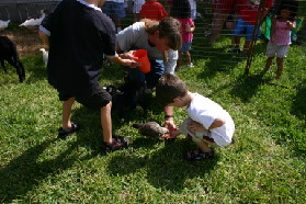 2005-08-13-Case-Birthday-17-animals-Chance-Dax.JPG