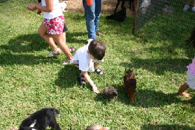 2005-08-13-Case-Birthday-19-animals-Dax.JPG