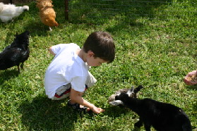 2005-08-13-Case-Birthday-21-animals-Dax.JPG