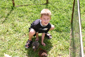 2005-08-13-Case-Birthday-22-animals-Chance.JPG