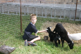 2005-08-13-Case-Birthday-25-animals-Chance.JPG