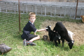2005-08-13-Case-Birthday-26-animals-Chance.JPG