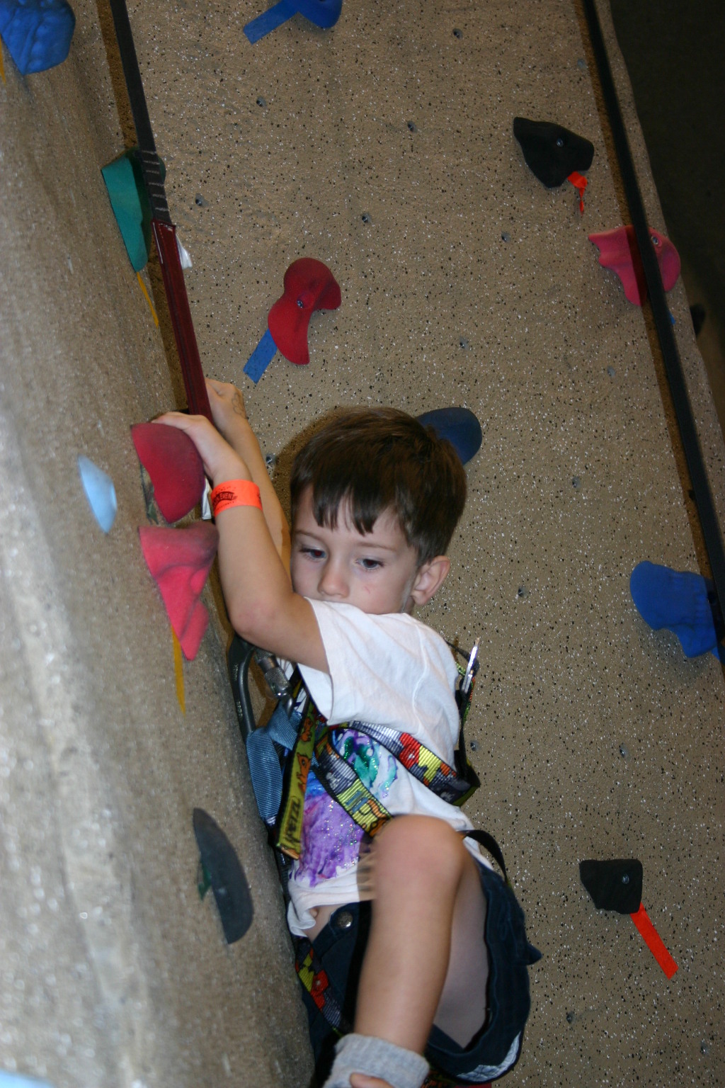 2005-07-30-Motive-picnic-36-rock-climbing-Dax.JPG
