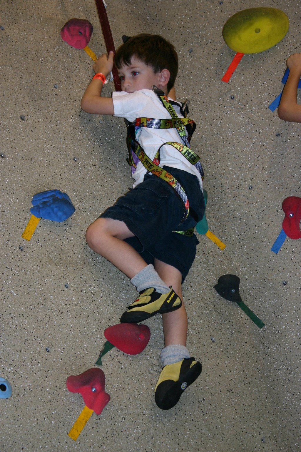 2005-07-30-Motive-picnic-38-rock-climbing-Dax.JPG