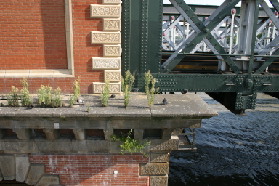 2005-09-09-London-77.JPG