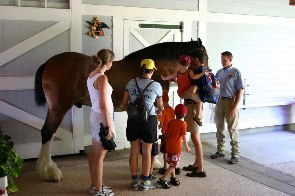 2005-09-18-Seaworld-with-Terhunes-099-Vava-Suzi-Bryant-Bryce-Bill-Chance-Dax-horse.JPG