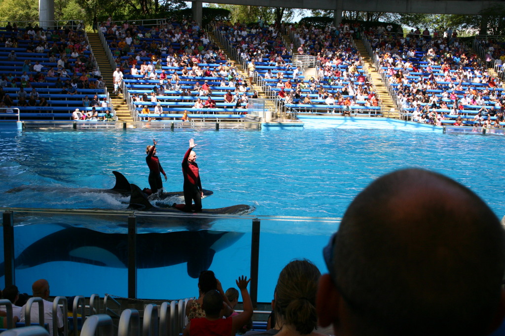 2005-09-18-Seaworld-with-Terhunes-109-shamu.JPG
