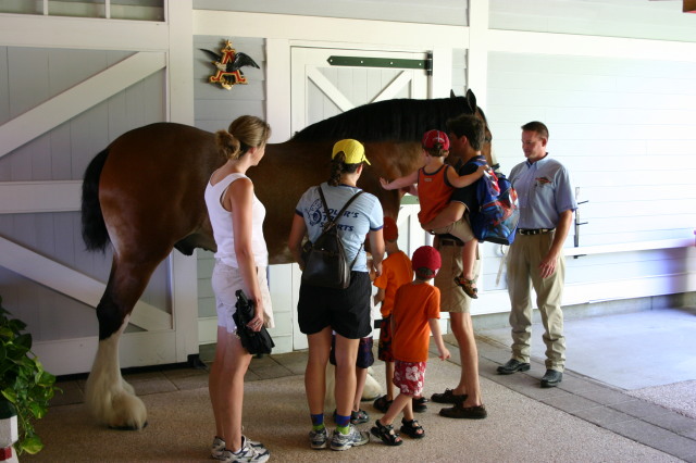 2005-09-18-Seaworld-with-Terhunes-099-Vava-Suzi-Bryant-Bryce-Bill-Chance-Dax-horse.JPG