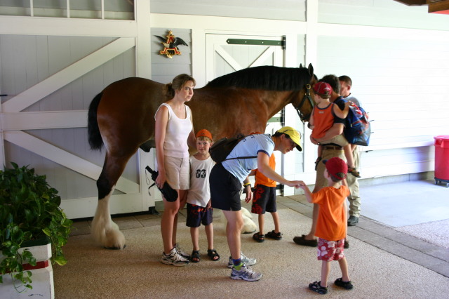 2005-09-18-Seaworld-with-Terhunes-100-Vava-Suzi-Bryant-Bryce-Bill-Chance-Dax-horse.JPG