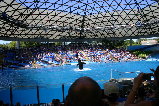 2005-09-18-Seaworld-with-Terhunes-110-shamu.JPG
