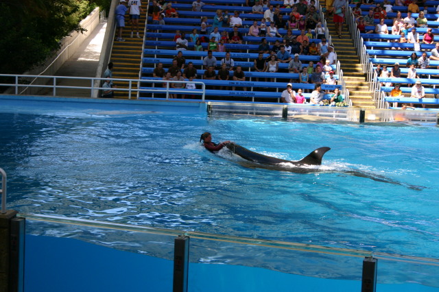2005-09-18-Seaworld-with-Terhunes-111-shamu.JPG