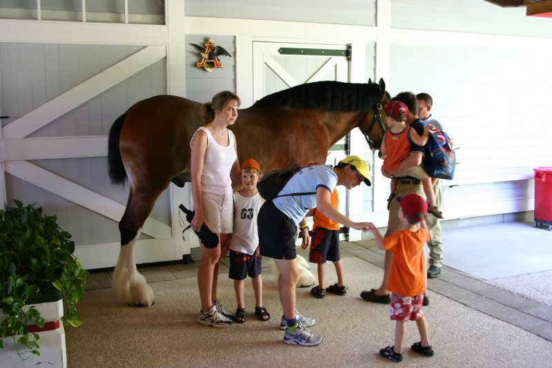2005-09-18-Seaworld-with-Terhunes-100-Vava-Suzi-Bryant-Bryce-Bill-Chance-Dax-horse.JPG