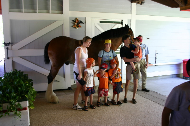 2005-09-18-Seaworld-with-Terhunes-101-Vava-Suzi-Bryant-Bryce-Bill-Chance-Dax-horse.JPG