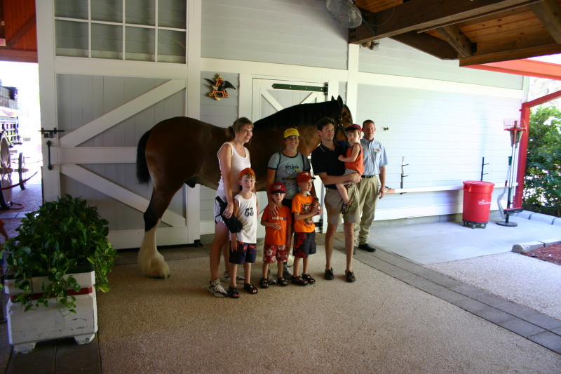 2005-09-18-Seaworld-with-Terhunes-105-Vava-Suzi-Bryant-Bryce-Bill-Chance-Dax-horse.JPG