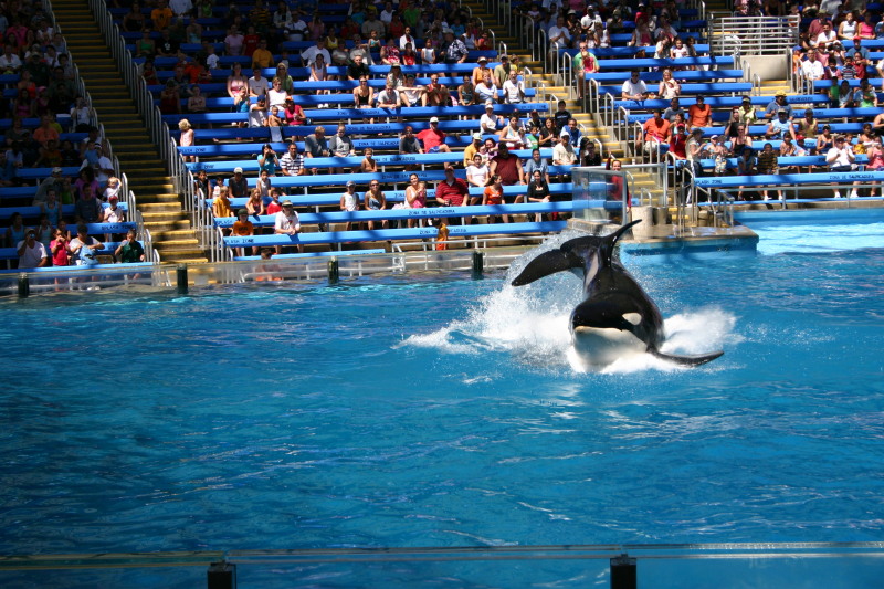 2005-09-18-Seaworld-with-Terhunes-112-shamu.JPG
