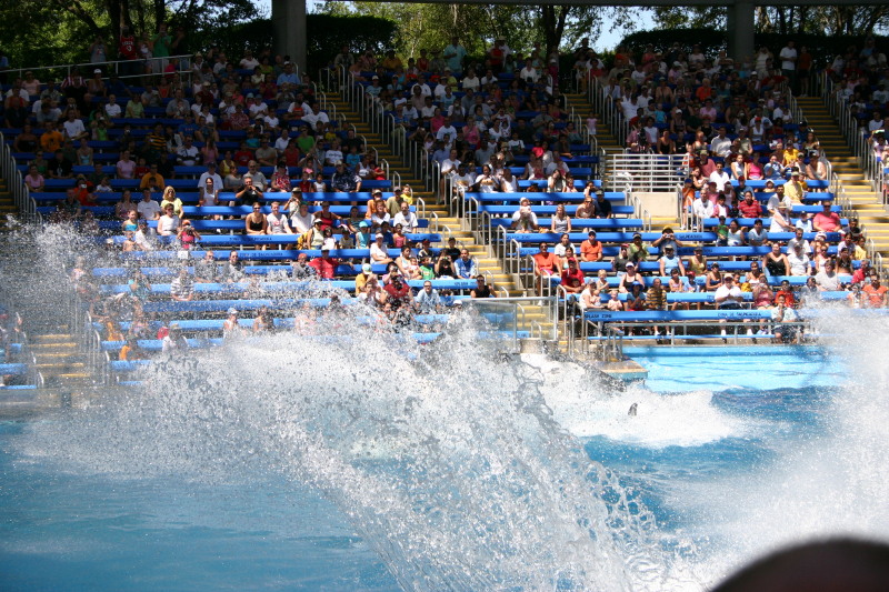 2005-09-18-Seaworld-with-Terhunes-116-shamu.JPG