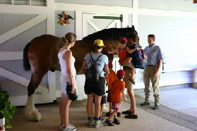 2005-09-18-Seaworld-with-Terhunes-099-Vava-Suzi-Bryant-Bryce-Bill-Chance-Dax-horse.JPG