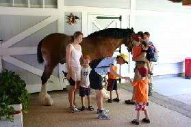 2005-09-18-Seaworld-with-Terhunes-100-Vava-Suzi-Bryant-Bryce-Bill-Chance-Dax-horse.JPG