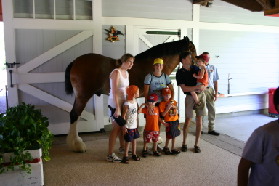 2005-09-18-Seaworld-with-Terhunes-101-Vava-Suzi-Bryant-Bryce-Bill-Chance-Dax-horse.JPG