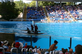 2005-09-18-Seaworld-with-Terhunes-108-shamu.JPG