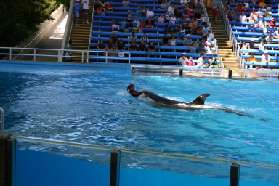 2005-09-18-Seaworld-with-Terhunes-111-shamu.JPG