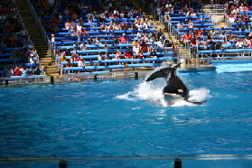 2005-09-18-Seaworld-with-Terhunes-112-shamu.JPG
