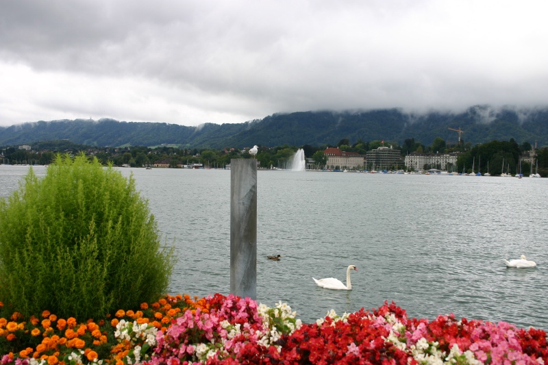 2005/09(September)/Zurich/800x600_2005-09-12-Zurich-24.JPG