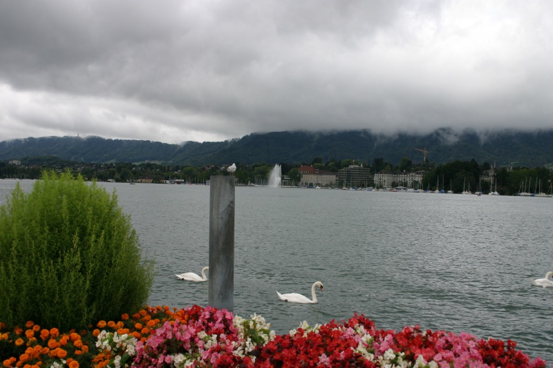 2005/09(September)/Zurich/800x600_2005-09-12-Zurich-26.JPG