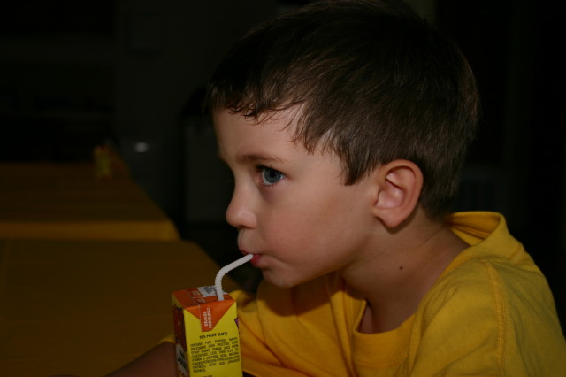 2005/10(October)/Chance-6th-Bday/640x480_2005-10-02-Chance-6th-Bday-15-Dax.JPG