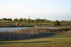 2005-10-23-Pflugerville-Land-02.JPG