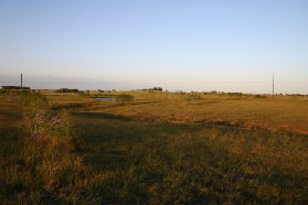 2005-10-23-Pflugerville-Land-09.JPG
