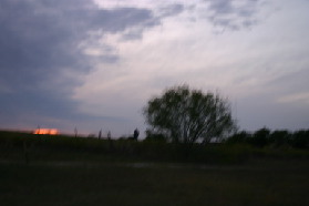 2005-10-27-Pflugerville-land-19.JPG