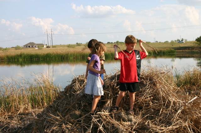 2005-11-13-Pflugerville-Land-25-Dax-Chance-Kalyani.JPG