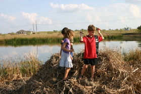 2005-11-13-Pflugerville-Land-25-Dax-Chance-Kalyani.JPG