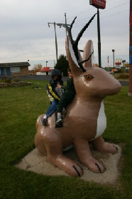 2005-11-03-South-Dakota-02-Dax-Chance-Jackalope.JPG