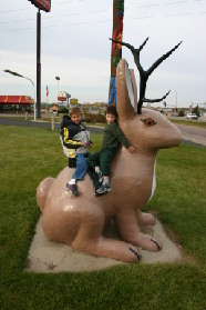 2005-11-03-South-Dakota-03-Dax-Chance-Jackalope.JPG