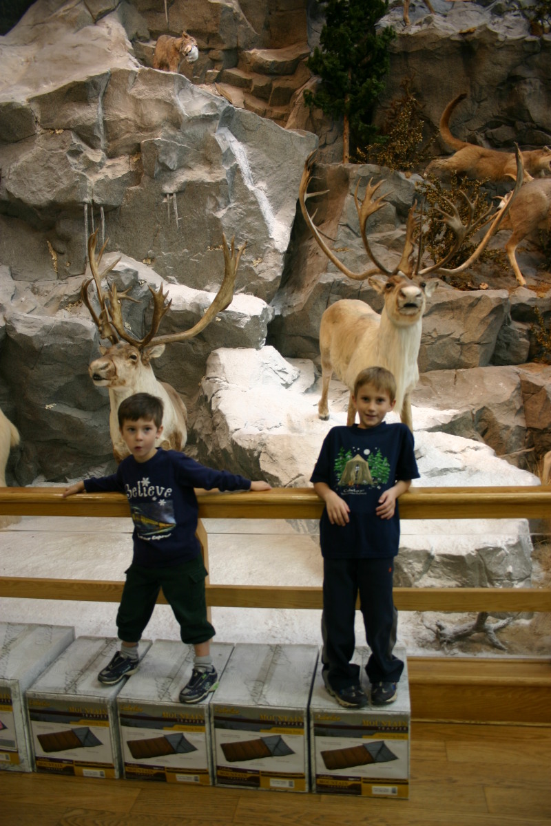 2005-11-04-South-Dakota-20-Cabelas-Chance-Dax.JPG