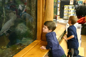 2005-11-04-South-Dakota-17-Cabelas-Chance-Dax.JPG