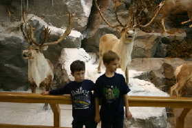2005-11-04-South-Dakota-18-Cabelas-Chance-Dax.JPG