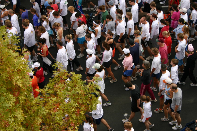 2005/11(November)/Turkey-Trot/800x600_2005-11-24-Turkey-Trot-48-Crowd-with-Suzi.JPG