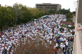 2005-11-24-Turkey-Trot-43-Crowd-with-Suzi.JPG