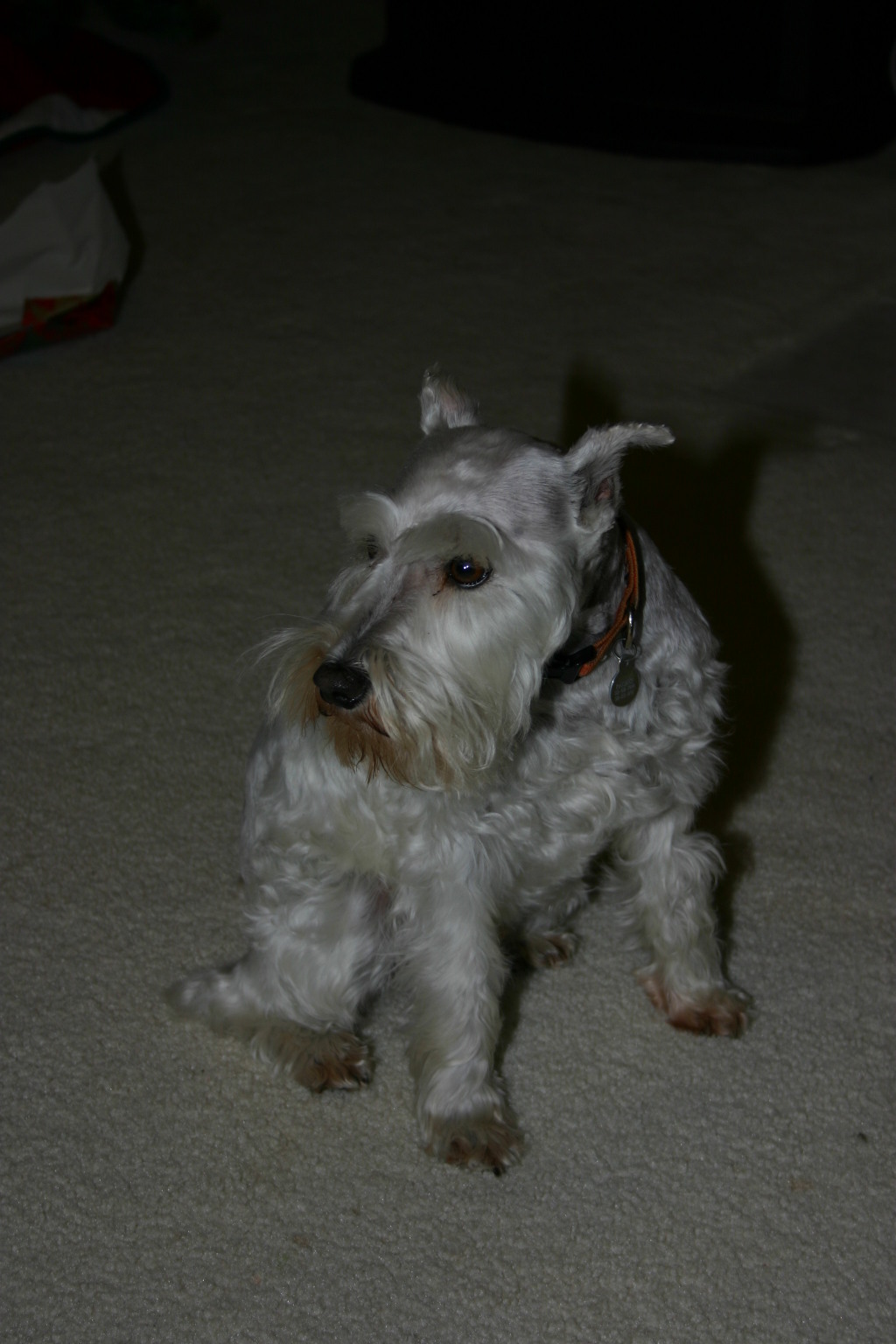 2005/12(December)/Christmas/1024x768_2005-12-25-Christmas-56-Joshs-house-Packet.JPG
