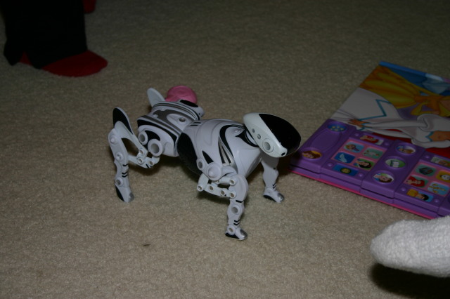 2005/12(December)/Christmas/640x480_2005-12-25-Christmas-57-Joshs-house-Robopet.JPG